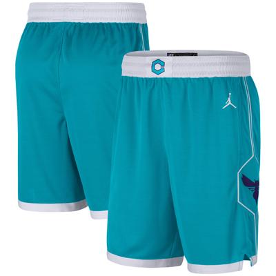 Charlotte Hornets Jordan Icon Swingman Shorts - Herren Image
