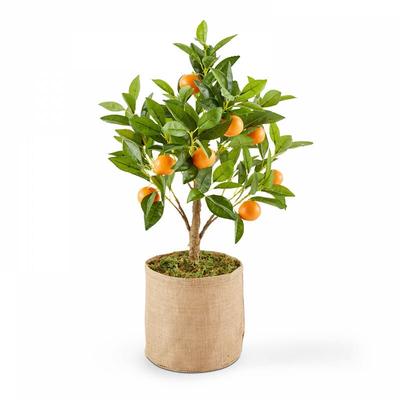 Künstlicher Orangenbaum für den Innenbereich 75 cm Grün - Grün
