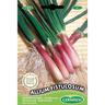 Germisem Allium Fistulosum Semi di Erba Cipollina Rosso 2 g