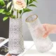 Creative Nordic Glass Flower Vase Ins Flower Bottle Transparent Hydroponic Vase Glass Bottle for