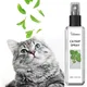 100ml Kitty Joy Herbal Cat Joy Kitty Joy Herbal Spray Catnip Spray for Indoor Cats Pets Catnip Spray