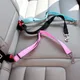 Adjustable Pet Cat Dog Car Seat Belt Pet Seat Vehicle Dog Harness Lead Clip Safety Lever Traction