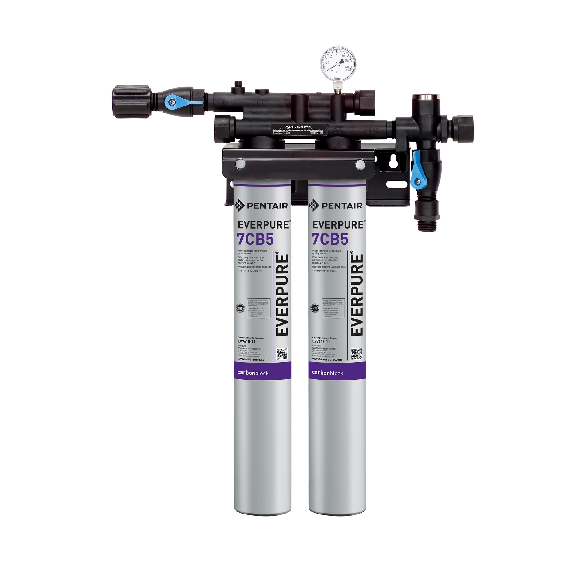 Everpure EV979740 KleenSteam II Twin 7CB5 Primary Water Filter Cartridge Assembly