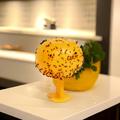 Fruit Fly Balls Insect Trap Sticky Trap Gnats Bug Ball With Iron WiresFor Indoor Outdoor House Kitchen Plants