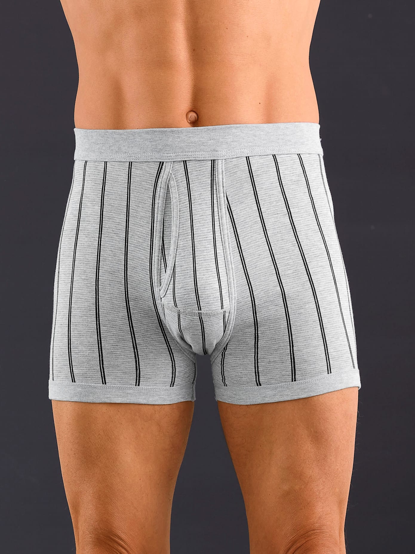 Schlüpfer WÄSCHEPUR, Herren, Gr. 5, grau (hellgrau, gestreift), 75% Baumwolle, 25% Polyester, Unterhosen Image