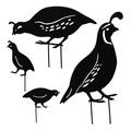 jojofuny 4 Pcs Quail YPF5 Wrought Iron Ornaments Outdoor Decorations Rooster Decor Quail Statue Garden Rooster Stakes Quail Figurine Metal Quail Garden Ornament Metal Quail Adornment Kit Black