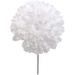 Football Mum Pick - 5-Inch Diameter 8-Inch Pick - White 15-Layer Artificial Flowers For Home Decor And Arrangement - Realistic And Lifelike s