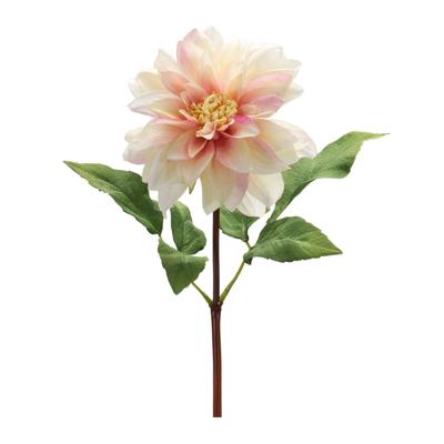 Dahlia Flower Stem (Set Of 6) by Melrose in Pink