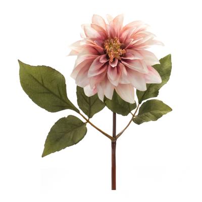 Dahlia Flower Stem (Set Of 6) by Melrose in Blush ...
