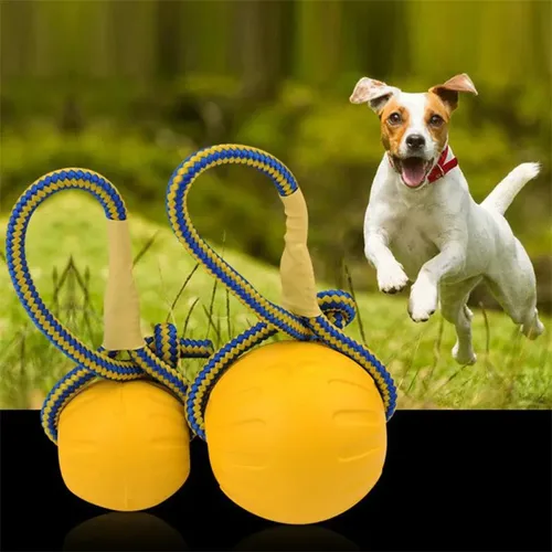 Hunde ball Spielzeug mit Seil unzerstörbar interaktives Hundes pielzeug Haustier Training Kau