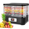 Dörrautomat Nictemaw Edelstahl, Dörrapparat Dehydrator Dörrgerät mit 8 Einlegefächer, Temperaturregelung 35-70℃, für Fleisch, Früchte, Gemüse und Nüsse, 400W