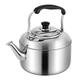 Hot Water Kettle Stainless Steel Tea Kettle Stovetop Whistling Teakettle Stainless Steel Tea Pot with Handle Stainless Steel Water Bottle (Size : 27X22X22CM)