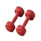 Dumbbells Dumbbells For Men And Women Fitness Home Equipment Yoga Women's Arm Training Rubber-coated Men's Dumbbells Dumbbell Set (Color : Red, Size : 10KG)