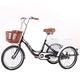 NOALED Adult Tricycle 1 Speed Size Cruise Bike Adult Trikes 20 Inch 3 Wheel Bikes with Shopping Basket for Seniors Women Men Seniors Bicycles Picnics Exercise Men's Women's Bike