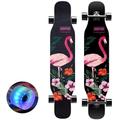 43 inch Skateboard for Beginners, Pro Complete Longboard, Double Kick Concave 7 Layer Maple Trick Deck, for Boys Girls Extreme Sports and Outdoors