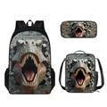 STUOARTE 3 Pcs Dinosaur Print Backpack for Boys, Lightweight Kids Bookbag Set with Lunch Bag and Pencil Box, Dinosaur School Backpack for Children Teen Elementary and Middle