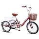 Bike 3 Wheels Adult Tricycle 3 Wheel Bike 20 Inch Three Wheel Bikes Adult Trike Double Brake High Carbon Steel Frame Bicycles Cruise Bike with Shopping Basket for Seniors Women Men Cargo Cycling