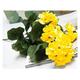 RWRAPS Artificial flowers Artificial Geranium Red Pink Flowers Plant Artificial Plants Artificial Flower PartyDecoration Creative (Color : Yellow) (Yellow)