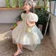 Sommer Baby Mädchen Kleid Tüll Tutu Säugling Prinzessin Vestidos Kleidung süße Blumen stickerei