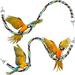 2 Pieces Toy Bird Rope Perches Climbing Rope Bungee Bird Toys Rope Perch Stand Cage Rope Comfy Perch Parrot Toys for Parrot Parakeets Cockatiels Conures (31.5 Inch)
