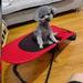 Dog Rocking Chair Method Dog Rocking Chair Kennel Dog Rocking Chair Pet Recliner Dog Supplies The kennel is adjustable