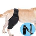 CHICOQUE Dog Knee Brace Dog Leg Brace for Torn acl Hind Leg Dog Hip Brace Adjustable Rear Leg Braces