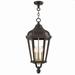 3 Light Outdoor Pendant Lantern in Traditional Style 11 inches Wide By 25 inches High-Bronze Finish Bailey Street Home 218-Bel-2513294