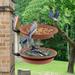 XHLQCBL Hummingbird Feeders Tree Mounted With Heavy Duty Sturdy Steel Deep Dark Brown Bird Bath Tray Bird Feeders Plastic Birds Feeder New Squirrel-Proof Bird Feeder Squirrel Proof Bird Feeder