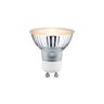 Paulmann Licht - led GU10 4,3 w 2200 k non grd 230 v paulmann 28972