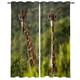 buyluhn Giraffe Blackout Curtains for Bedroom Living Room Green Eyelet Curtains 66 Width X 72 Inch Drop Patterned Thermal Window Treatments Soundproof Kitchen Curtains