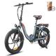 Fafrees Electric Bike Folding Bike, 20 Inch Electric Bike, Unisex Electric Bike, Up to 25km/h with 36V 18AH Removable Battery, Has 250W Motor, F20 Pro (Green)