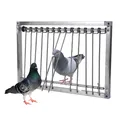 Piège à Dovecot en Acier Inoxydable 1 Pièce Cadre de Fil de Porte pour Pigeon Fournitures de Loft