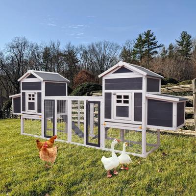 Large Wooden Chicken Coop with Ramp and Nesting Box