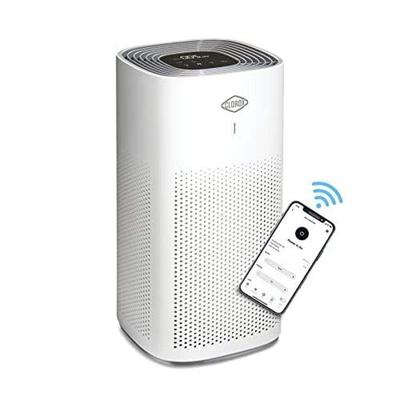 Smart Air Purifiers, True HEPA Filter, Works with Alexa, up to 1,500 Sq Ft, Removes Viruses, Wildfire Smoke, Allergies, Dust,