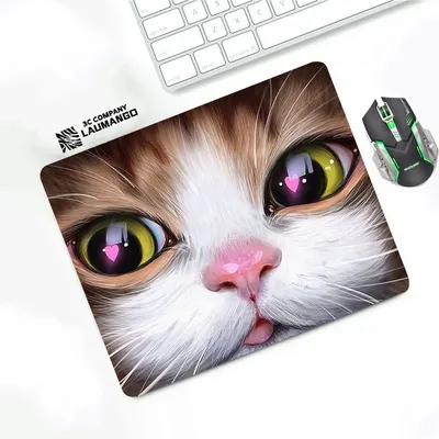Tapis de souris chat mignon pour ordinateur portable protecteur de bureau tapis de table polymère