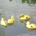Canard flottant canard canard 5 pièces décoration d'étang à poissons leurre en plastique colard