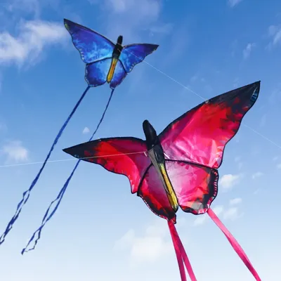 YongJian Beautiful butterfly kites Red Crystal Butterfly kites With 100m kite string Children adults