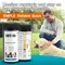 10-Parameter Cat & Dog Urine Test Strips 100ct, Cat & Dog UTI Test Kit, Urinalysis Reagent Strips: