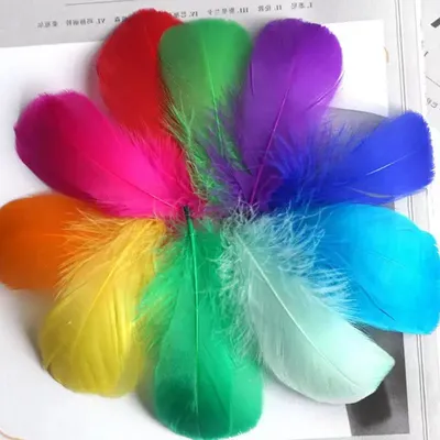100pcs 6-12cm Goose Feather Natural Colourful Plumes Feathers for Dream Catchers Wedding Party