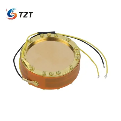 TZT RK-12 Double-sided Large Diaphragm Condenser Mic Capsule HiFi Audio Microphone Capsule for