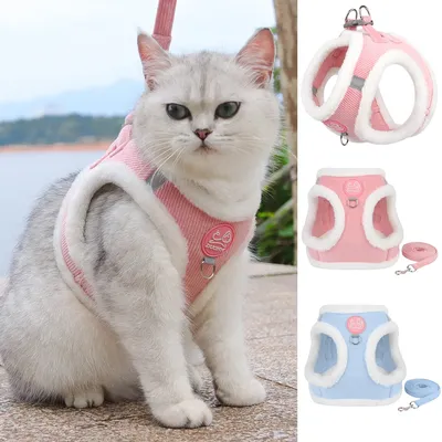 Cat+Supplies