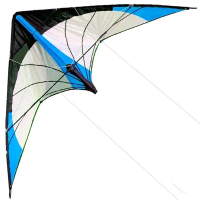 NEW Arrive 48 Inch Blue Professional Dual Line Stunt Kite With Handle And Line Good Flying Factory