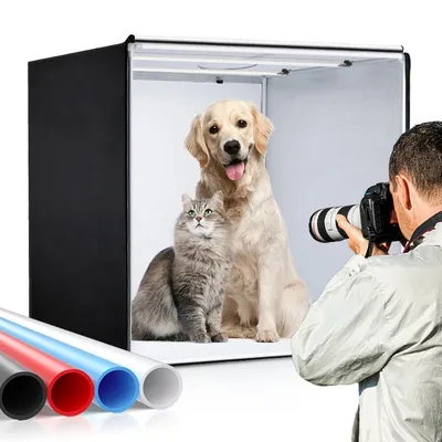 Photo Studio Light Box 80cm/32",24w Professional Adjustable Brightness Shoot Box With 2 Led Lights