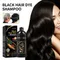 100ML Magic Natural Herbal Hair Dye Shampoo 3 in 1 Hair Color Shampoo for Gary Hair Dark Brown Black