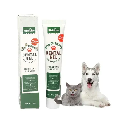 More+Pet+Supplies