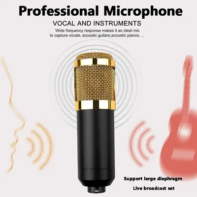Kebidu Professional BM800 karaoke mic studio condenser microphone For KTV Radio support large diaphragm live broadcast mic set
