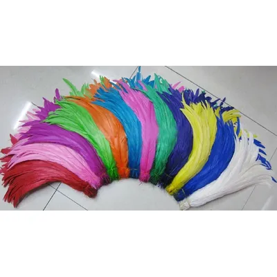 Wholesales 500PCS Rooster Tail Feathers 14-16inches 35-40CM 25-30CM 30-35CM For Colored