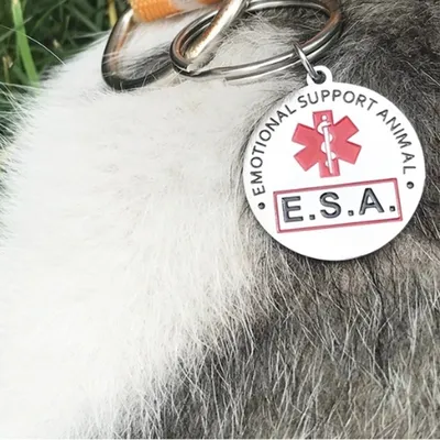 Stainless Steel ESA Emotional Support Animal Dog Tags Round Pet Tag Medical Assistance Pendants