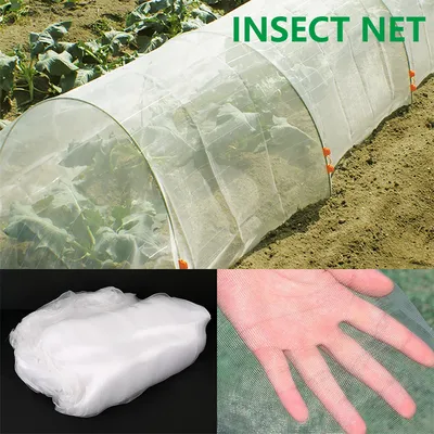 Pest+Control