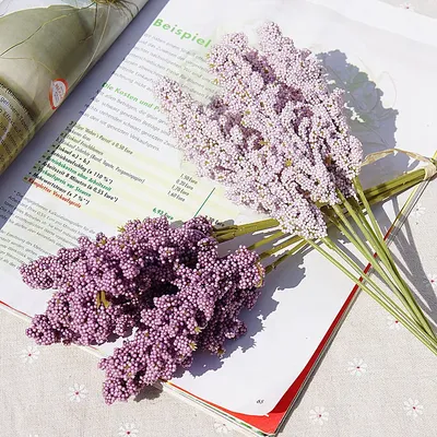 Flowers+Plants
